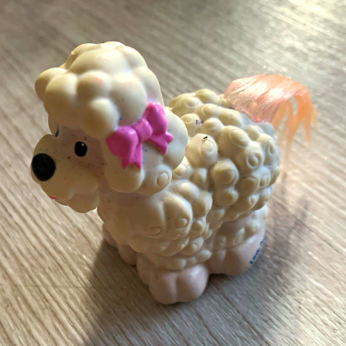 Hund pudel little - hund/pudel, people